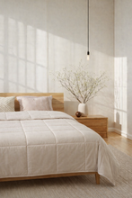 BEDSPREAD JERSEY SHELL 260x240 cm